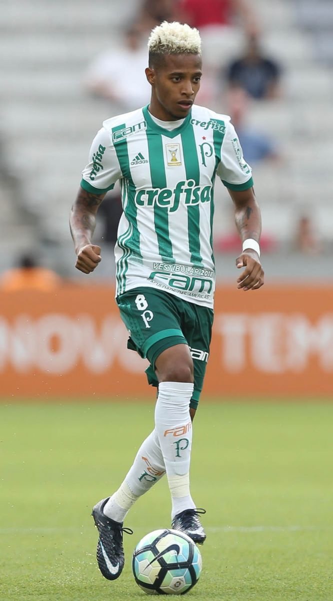 Apesar da derrota na última rodada, Palmeiras termina o Brasileirão com o vice-campeonato