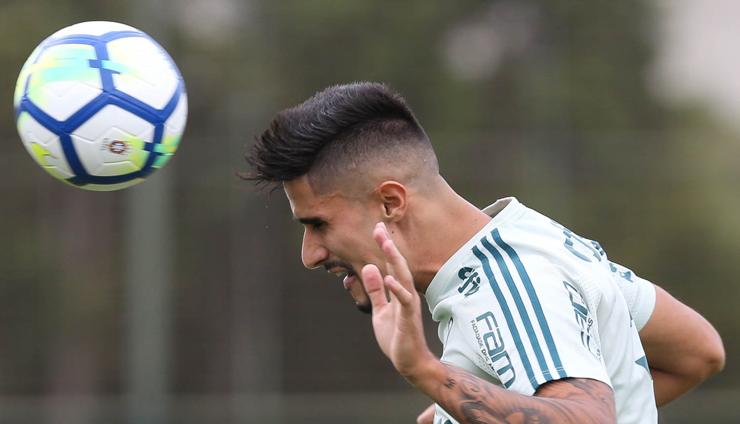 Verdão faz ajustes táticos e encerra preparação visando América-MG
