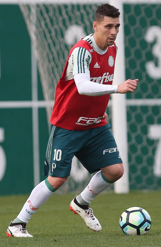 Elenco palestrino se reapresenta e faz treino físico e técnico na Academia