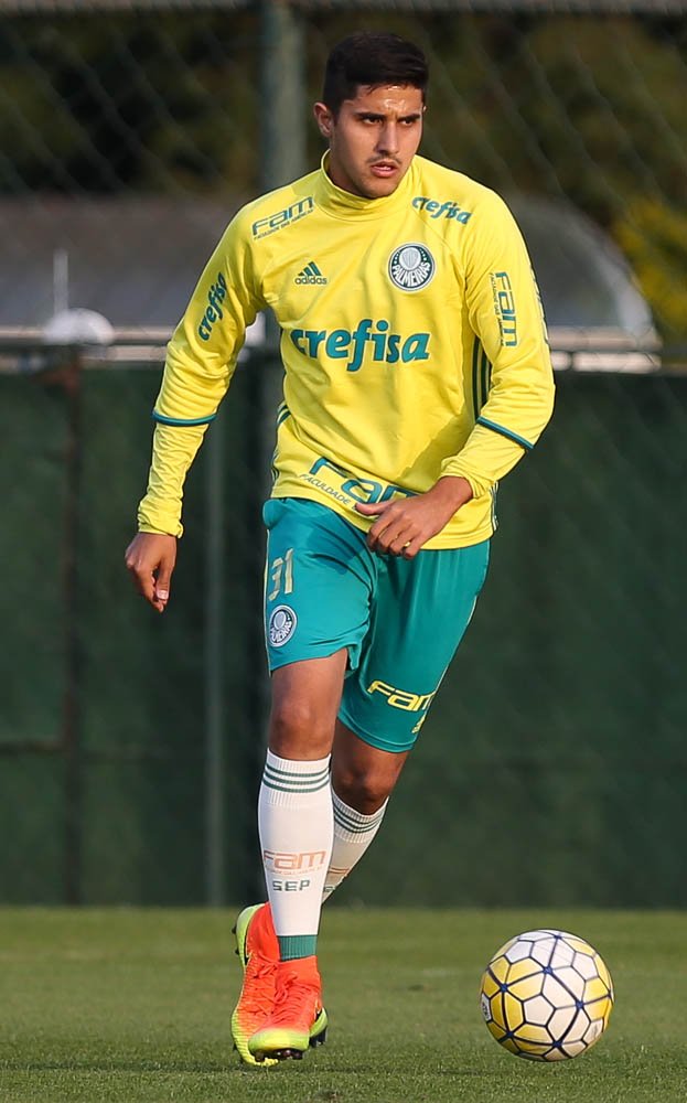 Verdão se reapresenta com treino técnico; titulares fazem regenerativo