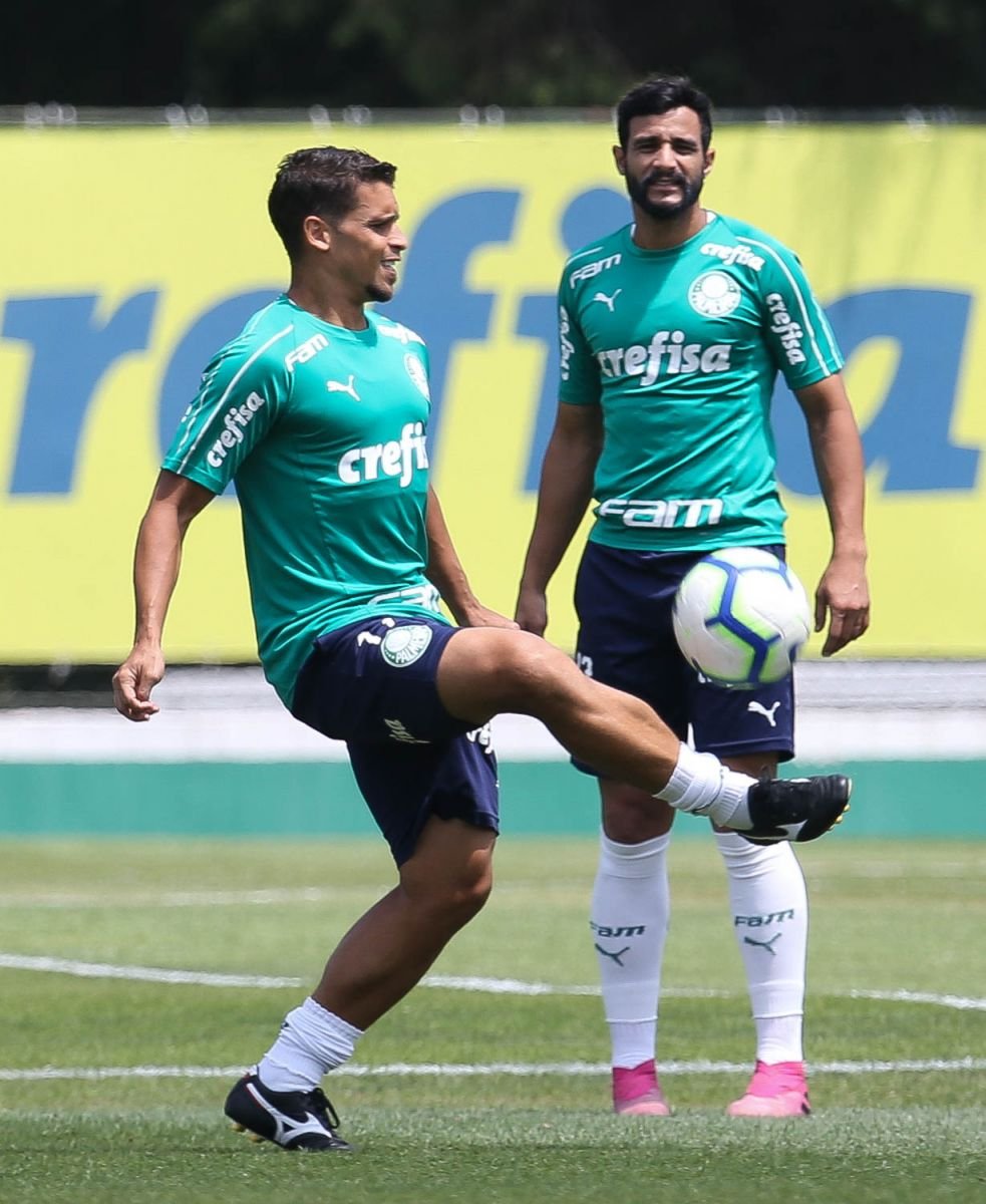 Confira as curiosidades, informações e retrospecto de Palmeiras x Avaí