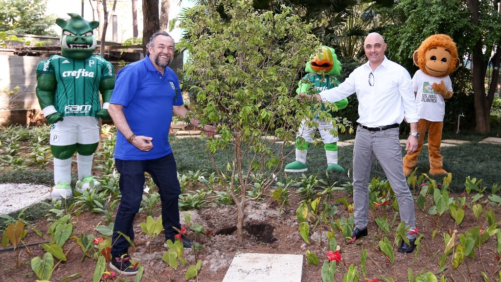 Palmeiras realiza ação nas redes sociais para celebrar Dia da Árvore 
