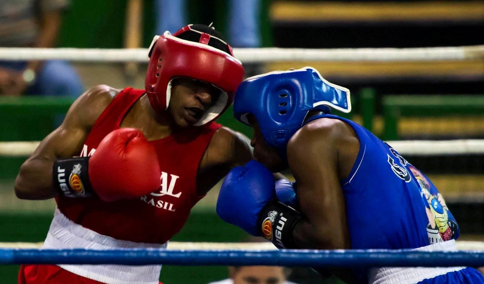 Boxe do Palmeiras segue invicto após seis rodadas do Luvas de Ouro