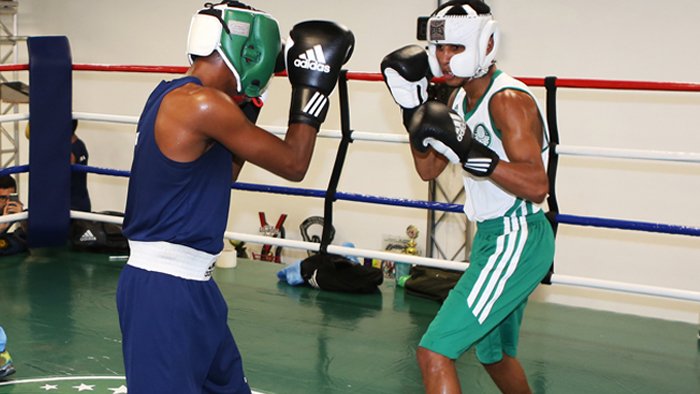 Boxe do Palmeiras começa o Paulista com vitórias e bom aproveitamento