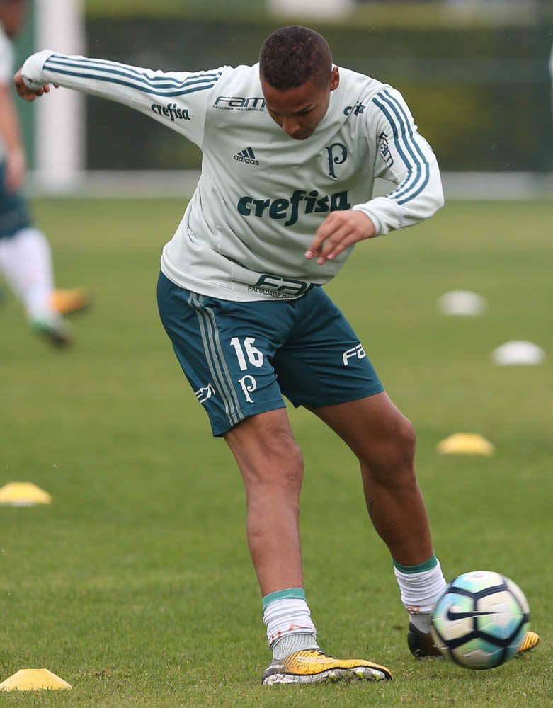Palmeiras se reapresenta e faz treino técnico visando clássico contra São Paulo