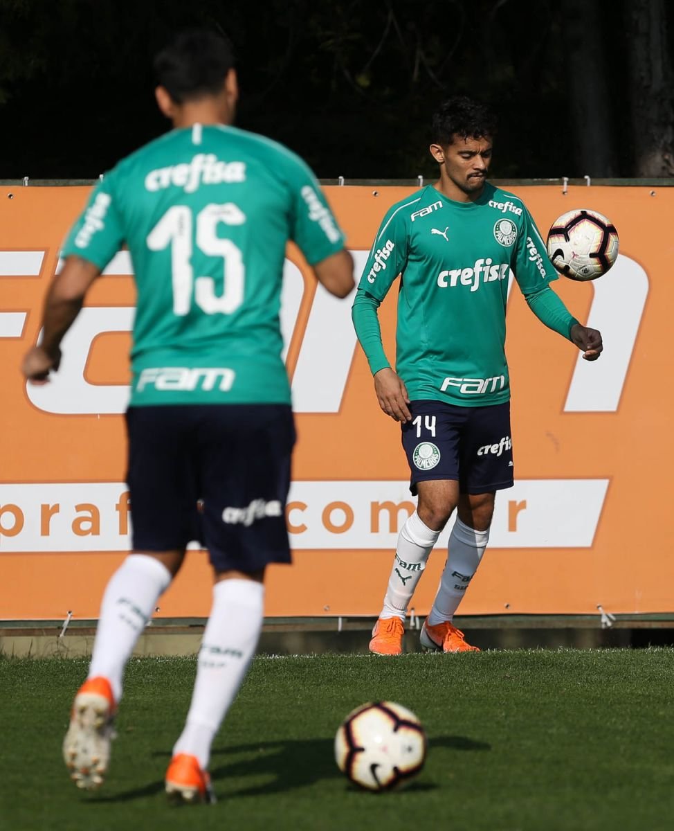 Palmeiras x Godoy Cruz: informações, curiosidades e histórico do confronto