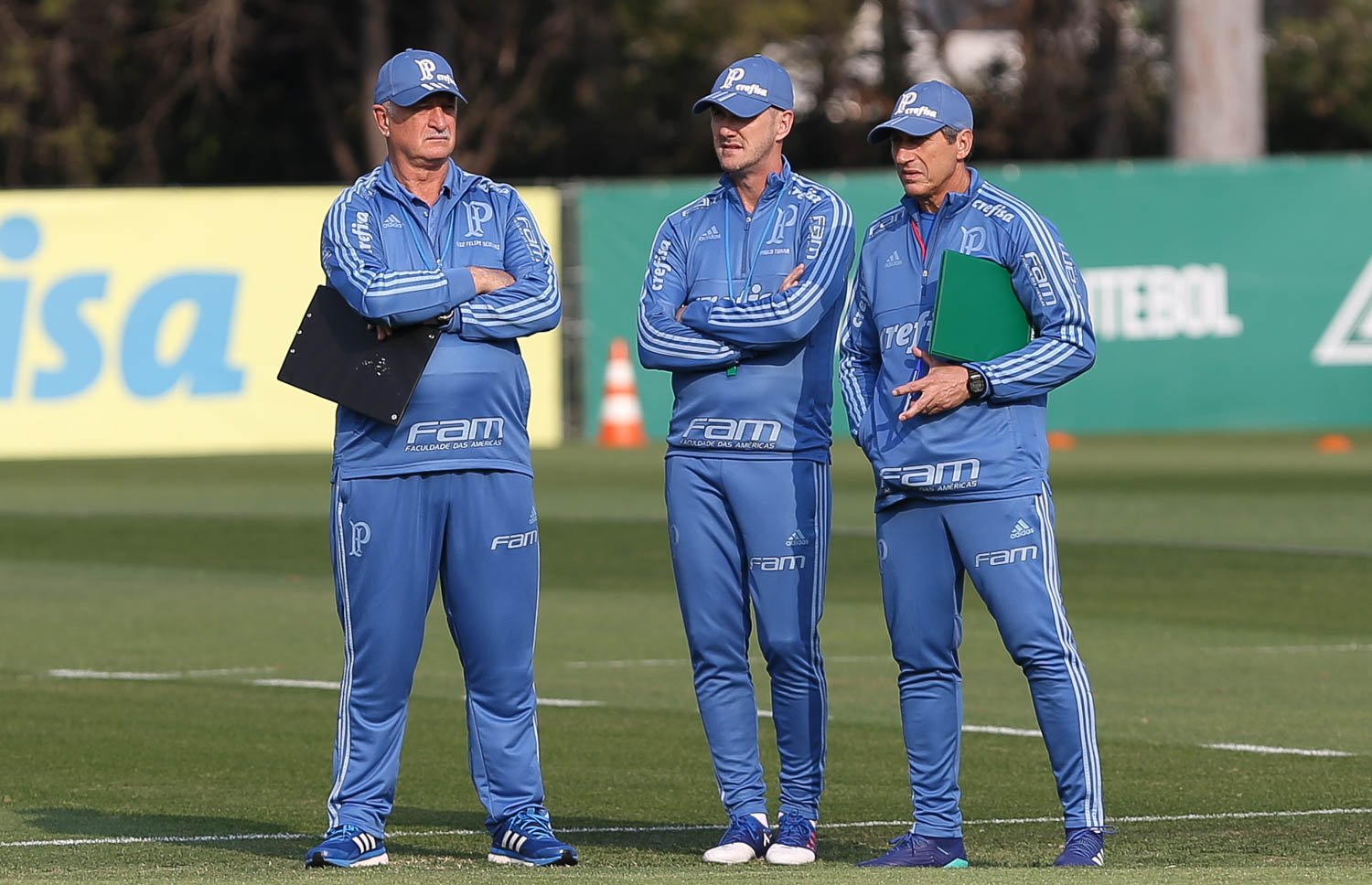 Bahia x Palmeiras: informações, curiosidades e histórico do confronto