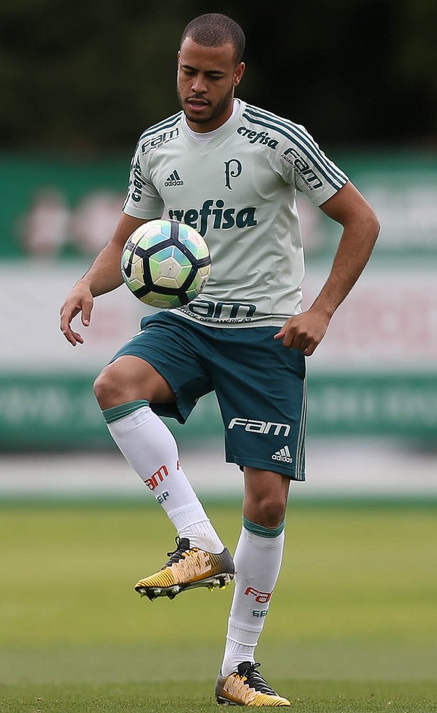 Verdão se reapresenta e faz treino técnico na Academia de Futebol
