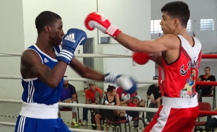 Palmeiras estreia com vitórias no Campeonato Paulista de Boxe