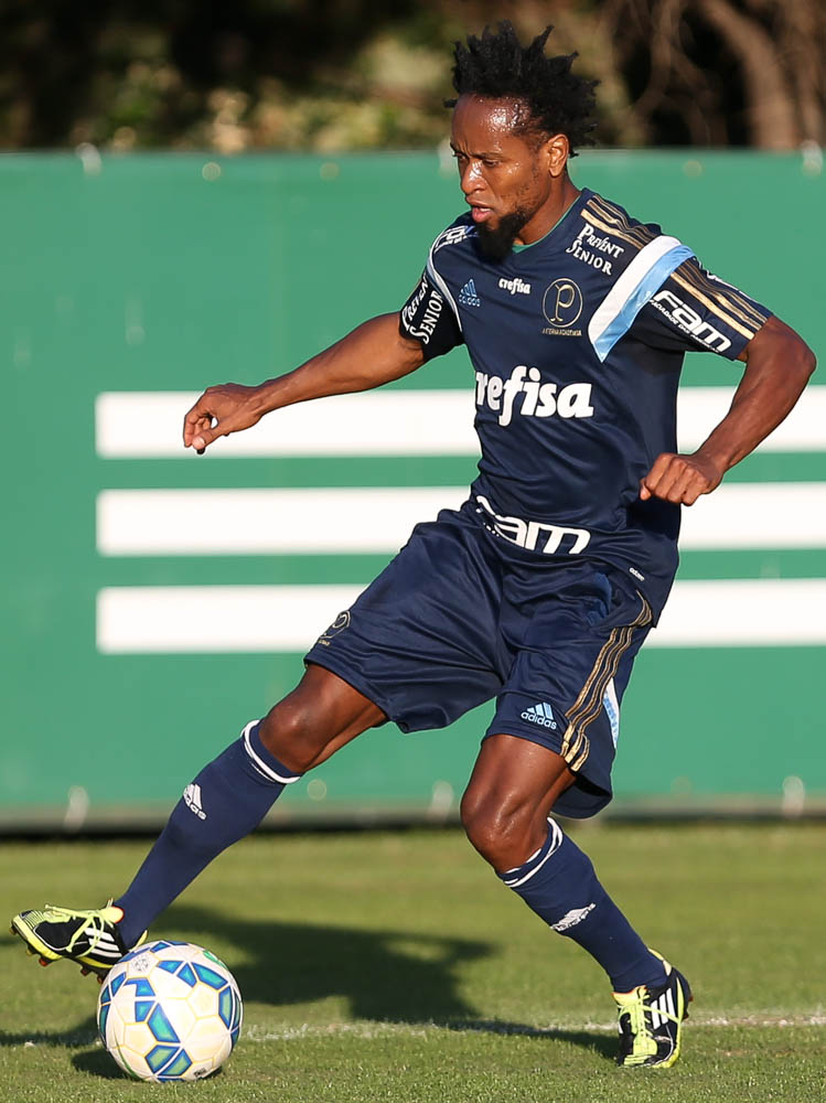 Allianz Parque on X: O PALMEIRAS APLICA UMA VIRADA HISTÓRICA E