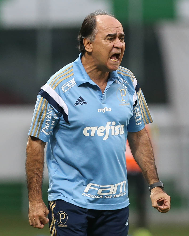Cesar Greco/Ag.Palmeiras/Divulgação_Marcelo Oliveira chegou a seis vitórias em oito jogos no comando do Verdão